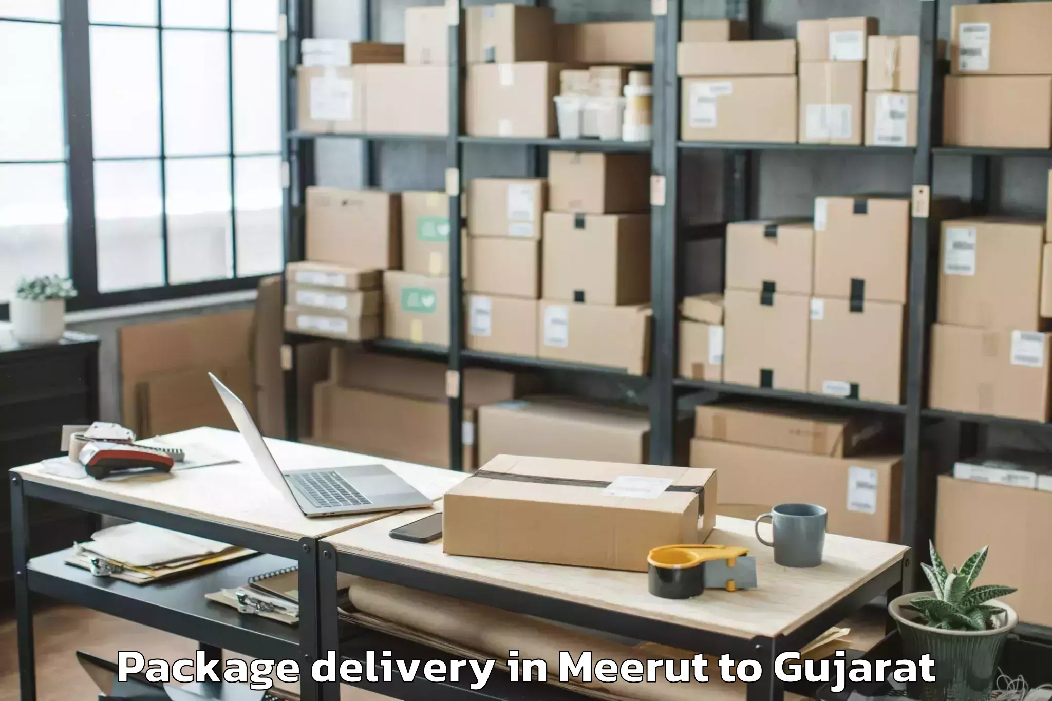 Quality Meerut to Amroli Package Delivery